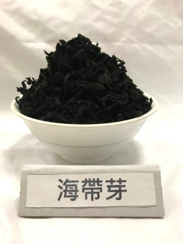 海帶芽