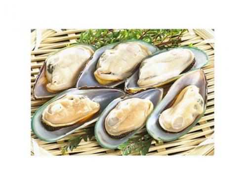 淡菜
