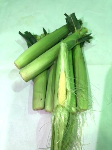 玉米筍